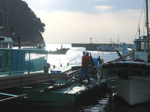 篠島漁港