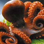 地魚ととらふぐの宿一榮